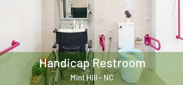 Handicap Restroom Mint Hill - NC